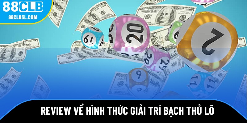 Bạch thủ lô là gì?